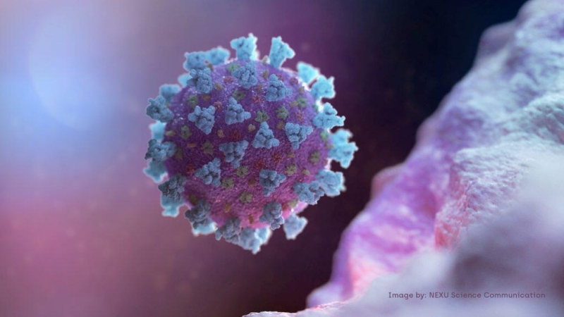 Koronavirusla bağlı narahatlıq doğuran AÇIQLAMA: Mövsümi infeksiya...