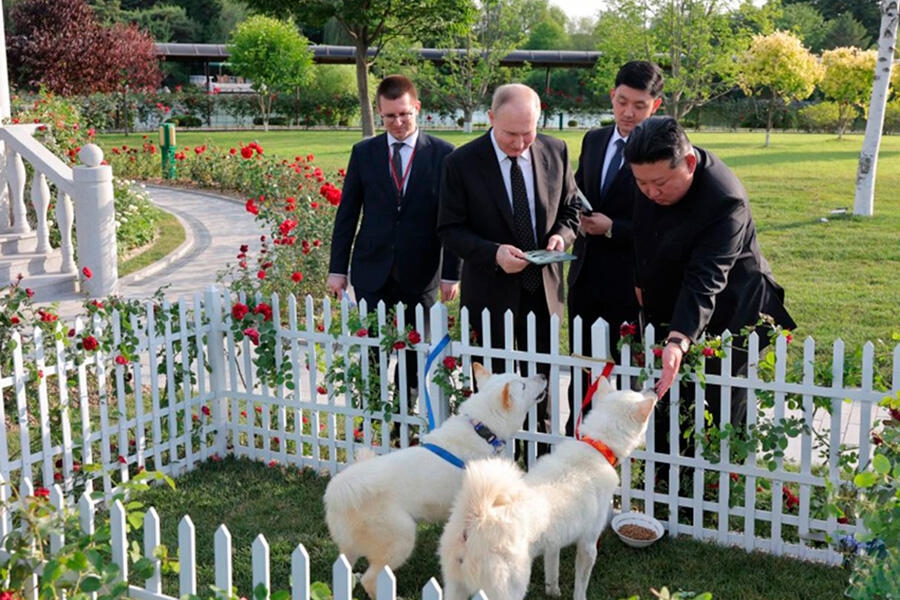 Kim Çen In Putinə 2 ov iti hədiyyə etdi - FOTOlar