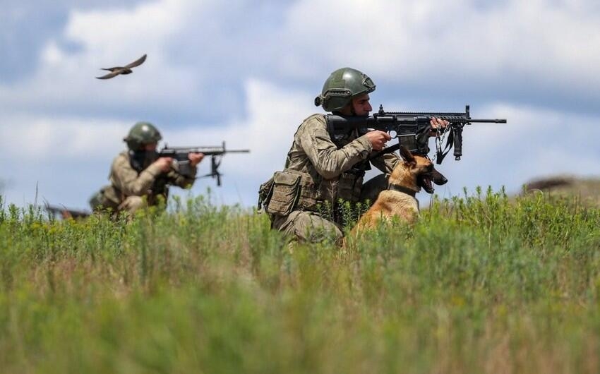 Türkiyə Ordusu PKK-nın doqquz terrorçusunu öldürdü