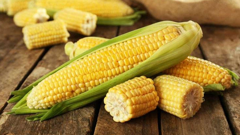 Qarğıdalının hansı faydaları var?