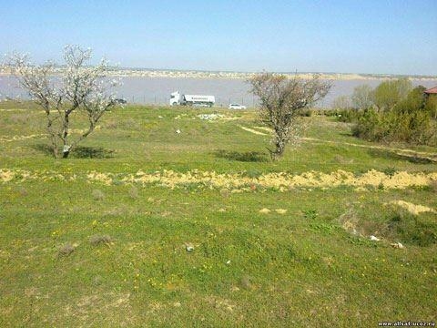 Çıxarışlı torpaq sahələri bahalaşır - VİDEO