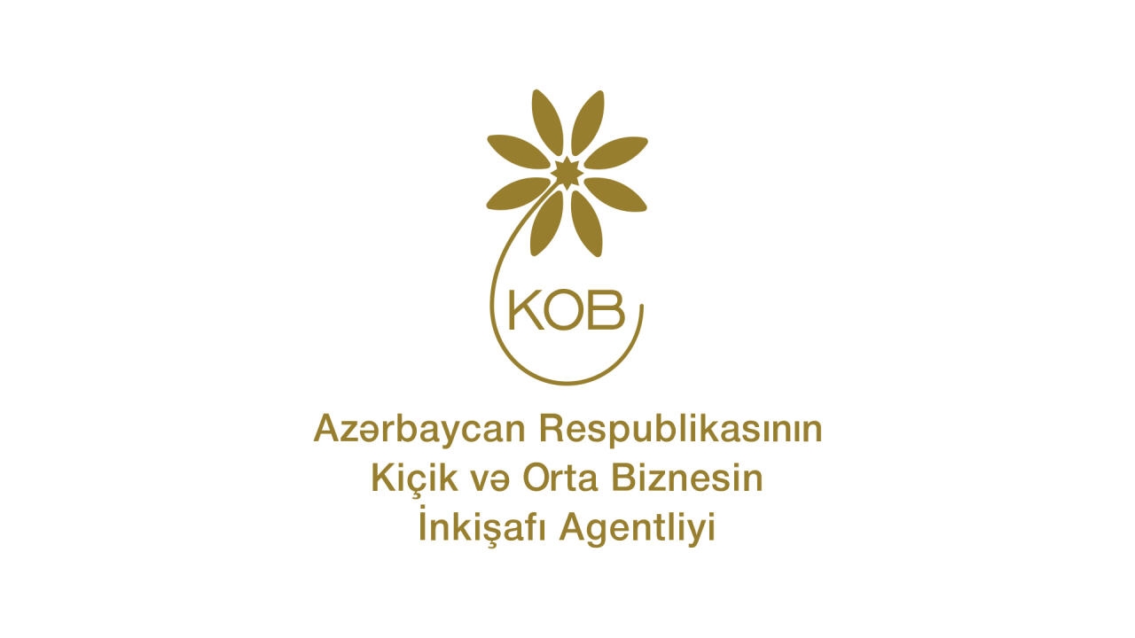İsveçrədə KOBİA-nın təşəbbüsü ilə Bakı İqlim Koalisiyasının təqdimatı keçirilib - FOTO