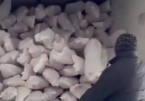 ''12 manata monqol əti'' Azərbaycan bazarını bürüyüb - VİDEO