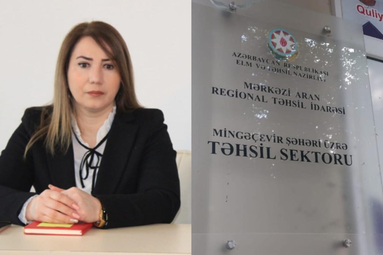 Sevinc Həsənovaya şiddətli töhmət verildi