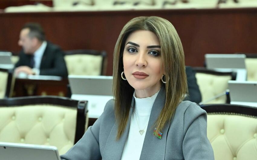 Azərbaycanlı deputatın qızının ''TikTok'' paylaşımları MÜZAKİRƏ YARATDI - İDDİA - VİDEO