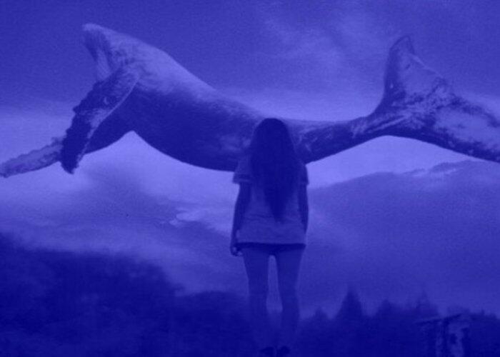 ''Mavi balina'' oyununun qurbanı olan 13 yaşlı Kəmalənin ad günündən VİDEO