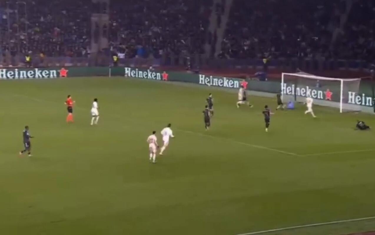 Koxalskinin möhtəşəm seyvi - VİDEO