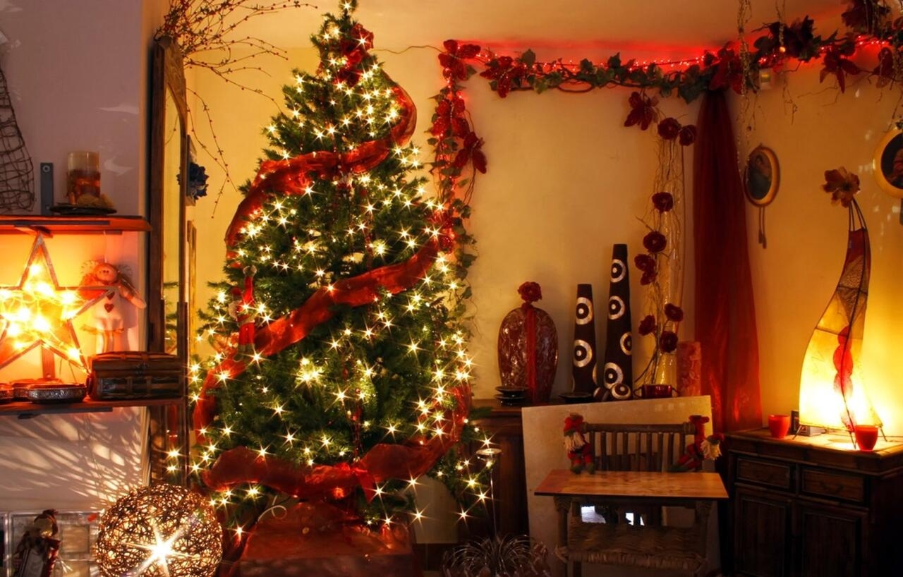 ''Yolka''nızı evin bu 3 yerində qəti qurmayın