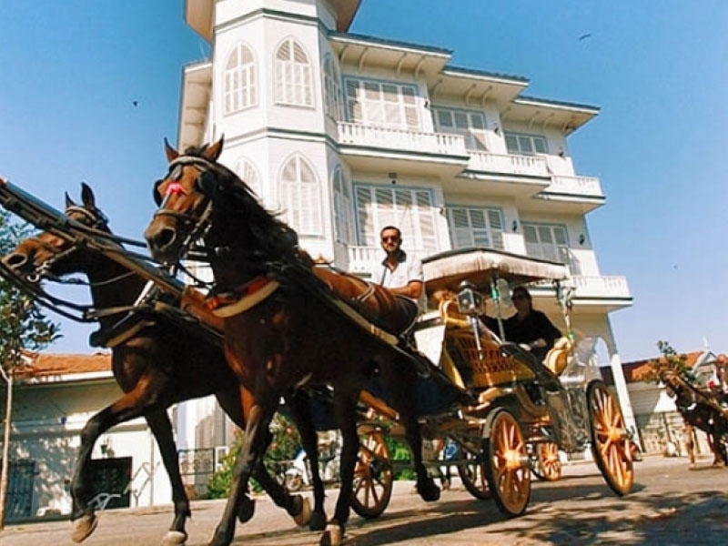 İstanbulun turistik bölgələrindən olan Böyük Adada ''at vəbası'' aşkar olunub