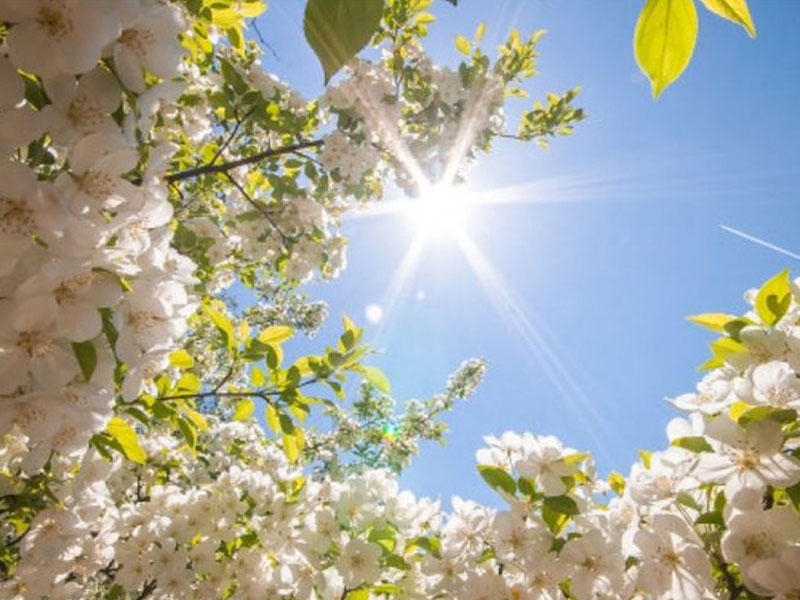 Baharın Azərbaycana gələcəyi vaxt və Novruz çərşənbələrinin tarixləri açıqlandı