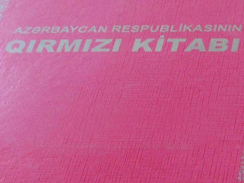 “Qırmızı Kitab”ın III nəşri hazırlanır