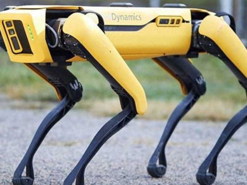 Boston Dynamics-in robot iti neft şirkətində mühafizəçi işləyəcək