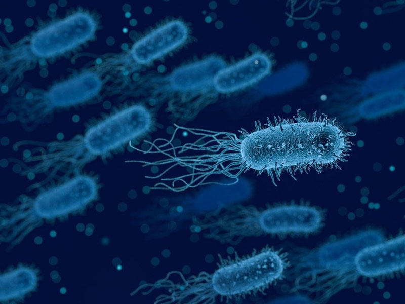 Bakteriyalara qarşı yeni antibiotik
