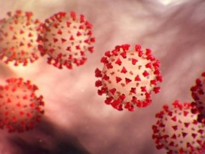 Koronavirus mikroskop altında belə görünür - FOTO