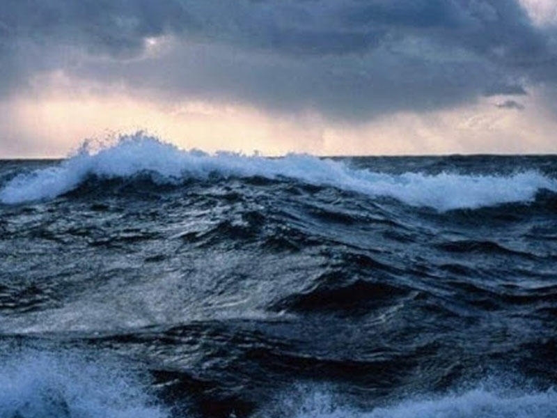 Okeanlar istiləşəndə dəniz heyvanları qütblərə doğru gedir