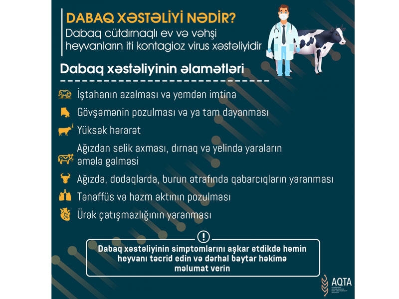 Dabaq xəstəliyi ilə bağlı nələri bilməliyik? - FOTO