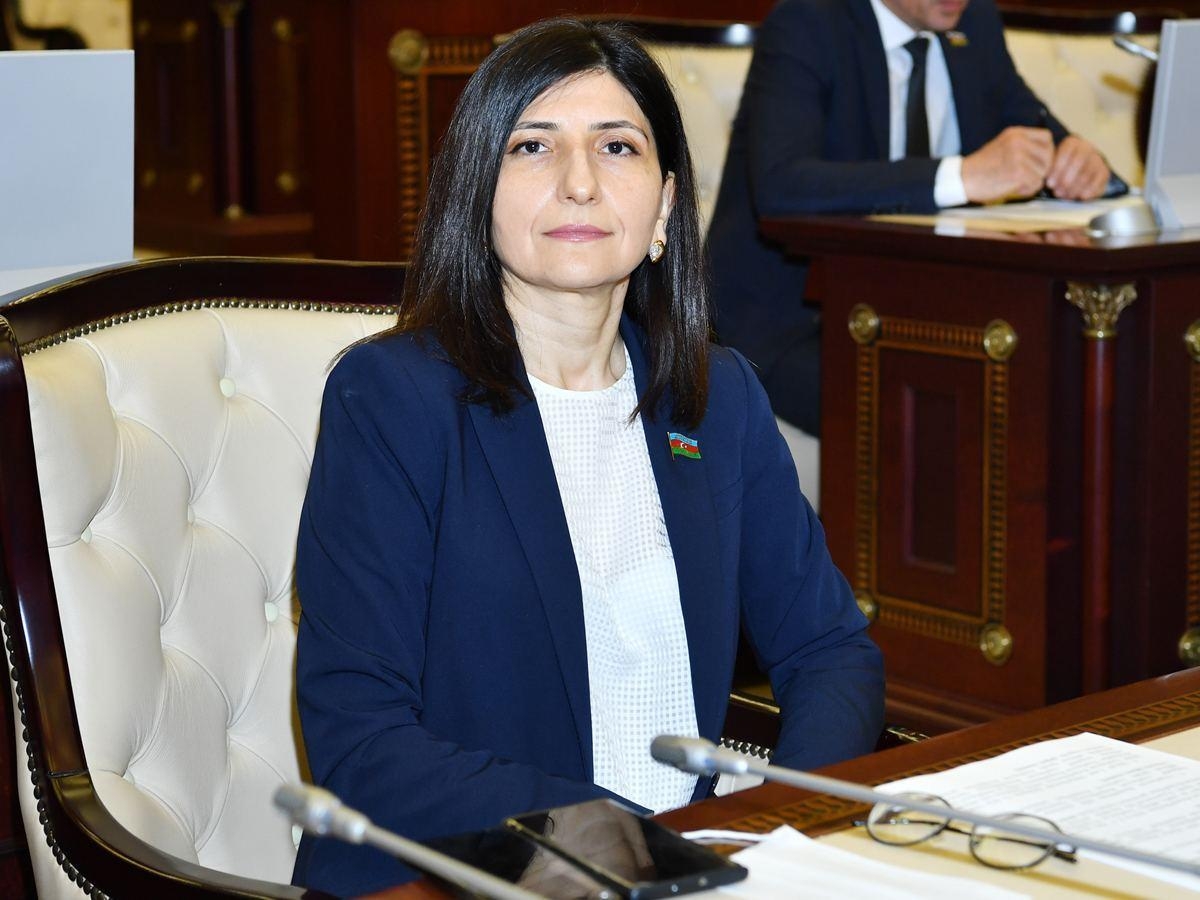 Sevil Mikayılova: İşğal olunmuş Dağlıq Qarabağda koronavirusa yoluxma halları beynəlxalq təşkilatlar üçün həyəcan siqnalı olmalıdır