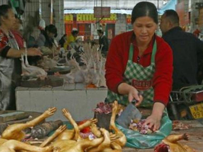 Çində restoran sahibləri qadağaya etiraz ediblər