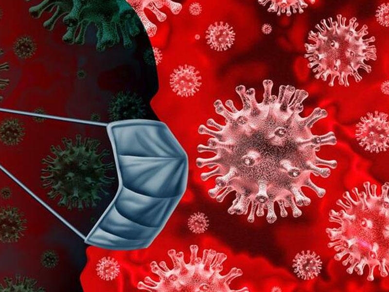 Koronavirus bu orqanı da ZƏDƏLƏYİR