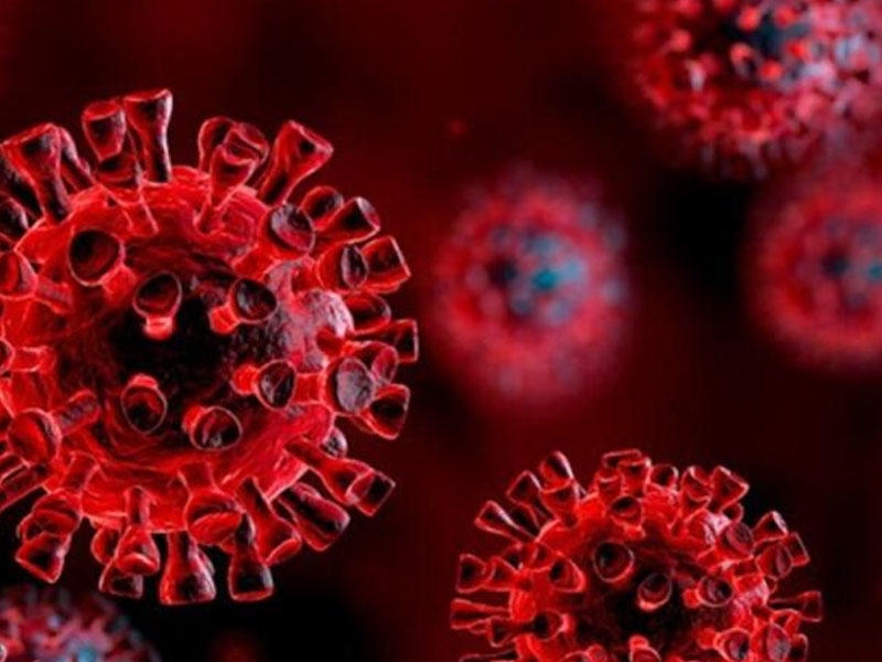 Koronavirus hüceyrələrlə ''zombi'' kimi davranır - FOTO