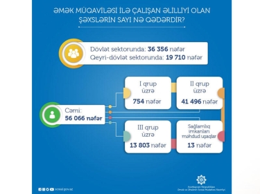 Əmək müqaviləsi ilə çalışan əlil şəxslərin sayı açıqlandı