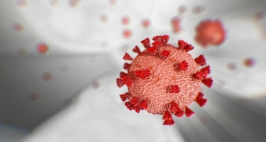 Koronavirusun mutasiyaya uğradığı araşdırıldı: QORXULU NƏTİCƏ