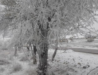 Şamaxıya qar yağıb, yollar buz bağlayacaq -  FOTO