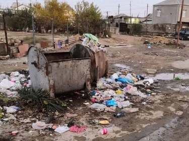 “Zibil vaxtında toplanmır deyə itlərin məskəninə çevrilib” - FOTO