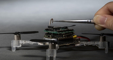 Kiborq-dron həşərat antenlərindən istifadə edərək havada hərəkət edəcək