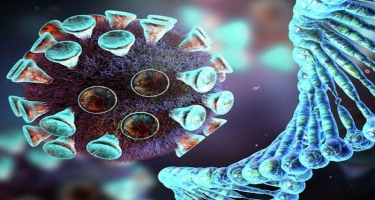 ÜST: Britaniyada koronavirusun mutasiyası əhəmiyyətli dərəcədə deyil
