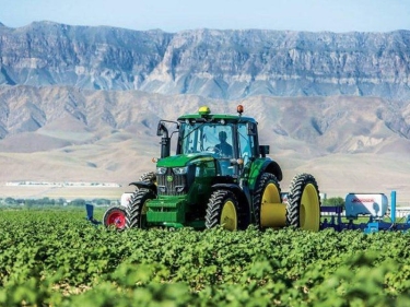 Kənd təsərrüfatı istehsal kooperativlərinin yaradılma prosedurları sadələşdirilir