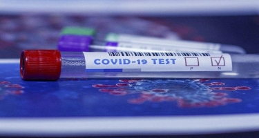 Avropanın 22 ölkəsində mutasiyaya uğramış koronavirusa yoluxma qeydə alınıb