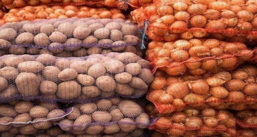 Ukraynadan idxal edilən soğan yararsız çıxdı