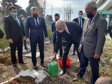 Xocalı soyqırımı ilə bağlı ağacəkmə aksiyası keçirilib - FOTO