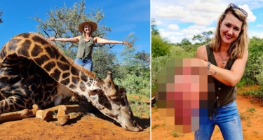 Zürafəni öldürüb ürəyini çıxaran qadın qalmaqala səbəb oldu - FOTO
