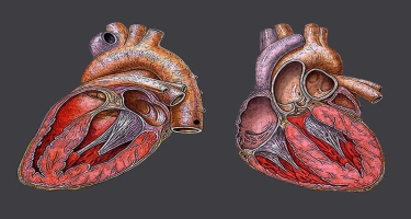 Restriktiv kardiomiopatiya