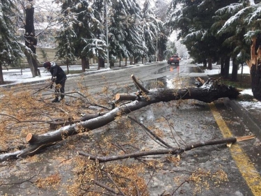 Mingəçevirdə əlverişsiz hava şəraiti fəsadlara yol açıb