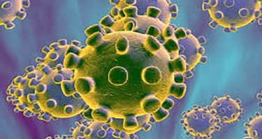 Avropada koronavirusa təkrar yoluxma halları artır