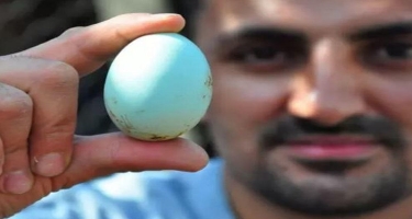Türkiyəli fermer mavi yumurtanın birini 10 dollardan satır - FOTO