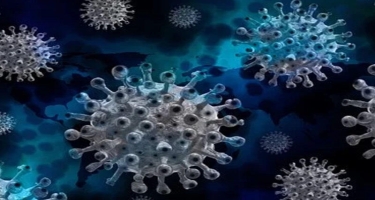 Koronavirus bizi nə vaxt tərk edəcək?