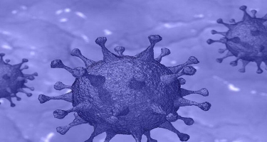 Yeni dəhşətli virus təhlükəsi -  Bu ştam koronavirus keçirənləri təkrar yoluxdura bilər