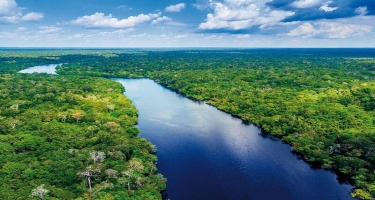 Amazon meşələri planeti CO2 ilə zəhərləməyə başlayıblar