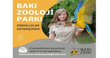 Bakı Zooloji Parkı heyvanları sevən könüllü gənclər axtarır