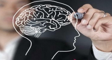 Beyni təmizləməyin effektiv yolları