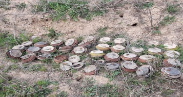 Azad olunan ərazilərdə aşkarlanan minaların sayı açıqlandı