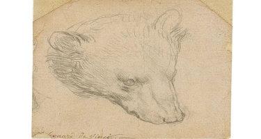Leonardo da Vinçinin çəkdiyi 