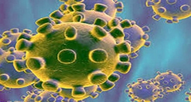 Almaniyada koronavirusla bağlı həyəcan yenidən artır