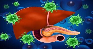 Koronavirusun hepatit xəstələrinə təsiri