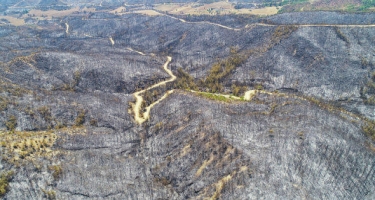 Türkiyədə yanan meşələrin dronla çəkilmiş FOTOları