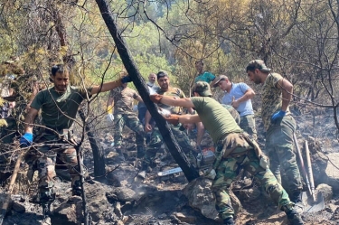 FHN  Türkiyədə yanğınlarla mübarizəni davam etdirir - FOTO